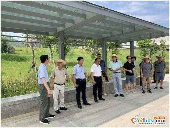 宁德市政府、体育局、发改委一行来霞浦调研足球场建设和备战十七届省运会工作情况-1.jpg