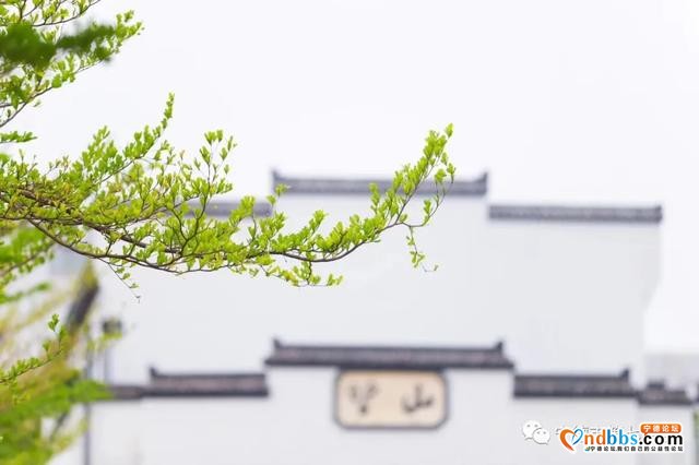 宁德：新的学期 新的征程-1.jpg