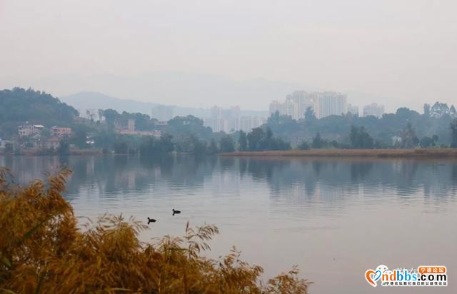 记忆的蕉城，你还记得吗？-3.jpg