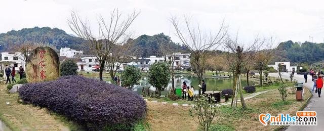 记忆的蕉城，你还记得吗？-5.jpg
