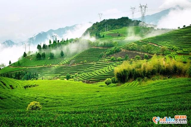 记忆的蕉城，你还记得吗？-9.jpg