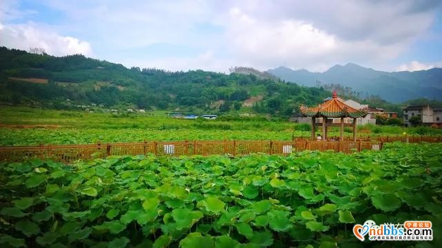 记忆的蕉城，你还记得吗？-10.jpg