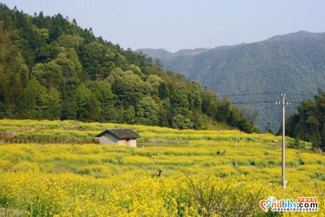 记忆的蕉城，你还记得吗？-18.jpg