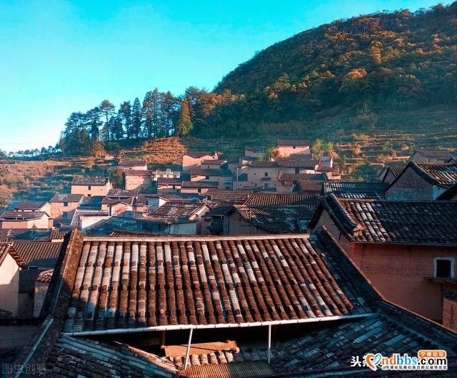宁德的千年古村，被称为是福建的“西双版纳”，来了最好住一晚-4.jpg