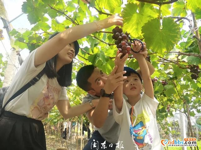 早点！宁德新闻 「2020-09-07」-4.jpg