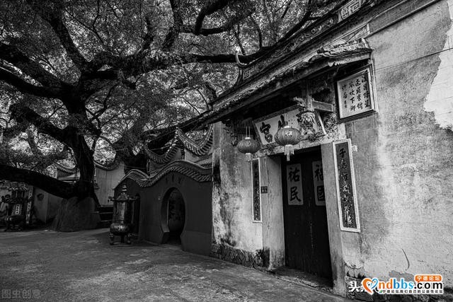 在福建宁德有一个古朴典雅的小镇，是国家3A级景区，还不要门票-6.jpg