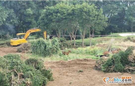 宁德市政府副市长黄建龙调研社会足球场建设工作-2.jpg