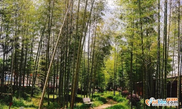 打卡蕉城这4个3A景区，整个正月花式霸屏朋友圈！-30.jpg