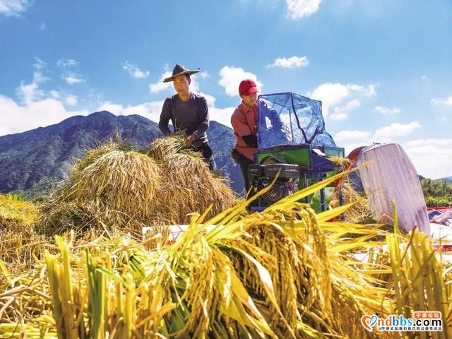 早点！宁德新闻 「2020-09-08」-2.jpg