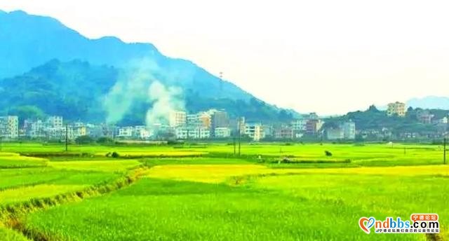 福建三座城市角逐：莆田、龙岩和宁德，谁的发展潜力更胜一筹呢？-1.jpg
