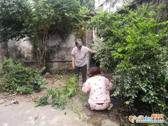 创城有你 | 给力！蕉城这些行为和现象上了“红榜”-10.jpg