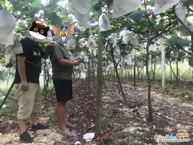 小案快破！近日，宁德又有一批小偷落网了?-6.jpg