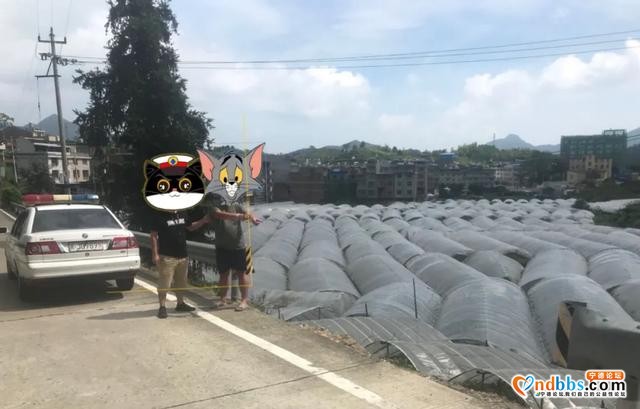 小案快破！近日，宁德又有一批小偷落网了?-5.jpg