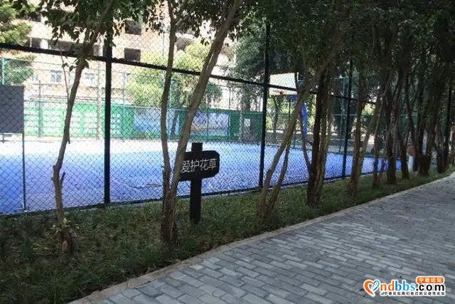宁德新闻红榜丨创城：让城市更美丽，让生活更幸福，让人间更温暖-10.jpg
