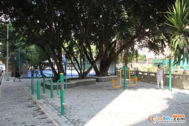 宁德新闻红榜丨创城：让城市更美丽，让生活更幸福，让人间更温暖-9.jpg