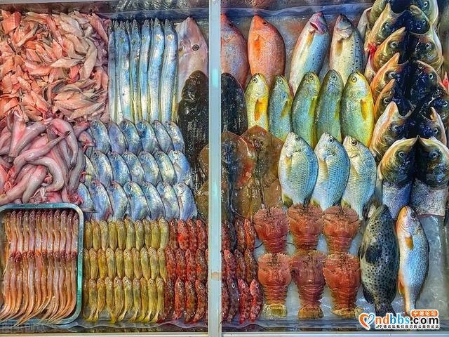 宁德霞浦：“海鲜之都”与野生大黄鱼的较量-3.jpg