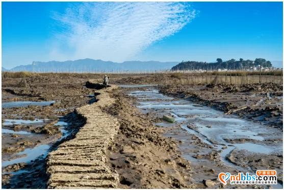 霞浦：几十年，这里的村民在汐路桥上救下十几条生命-2.jpg