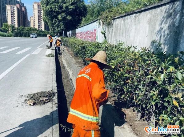 创城公路人在行动丨宁德市公路中心启动迎评冲刺攻坚专项行动 助力“创城”-1.jpg