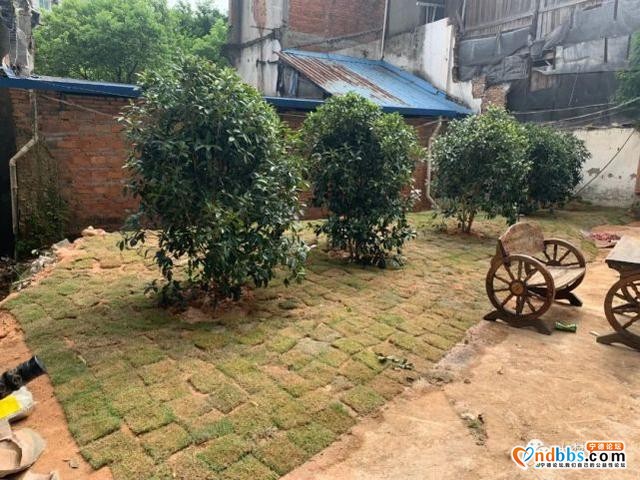 创城有你 | ?蕉北这个社区老旧小区环境整治还不错-7.jpg