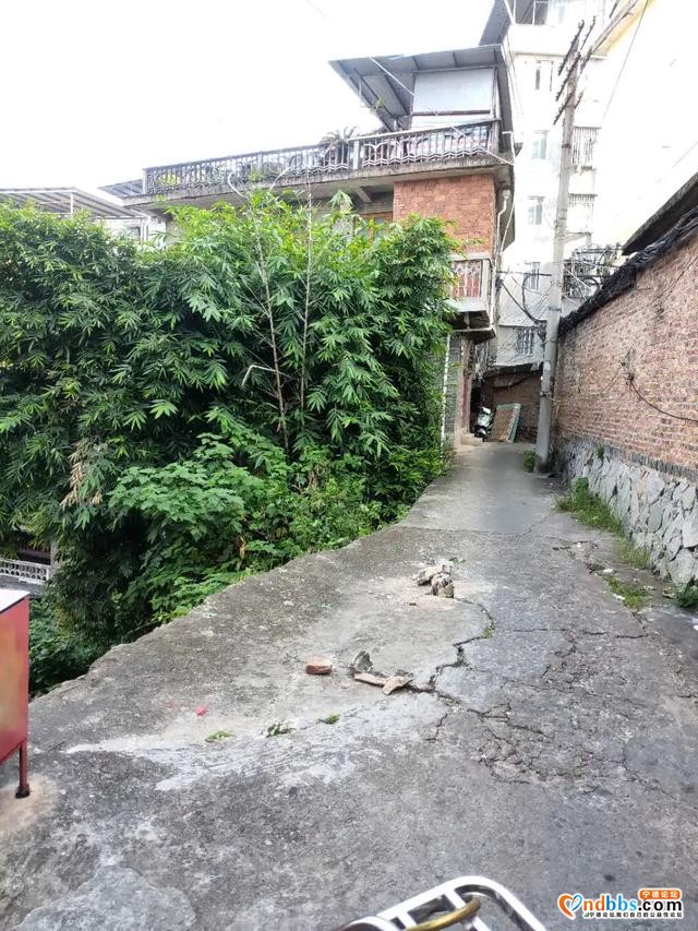 创城进行时15 | 扮靓城市“里子”，背街小巷再整治-15.jpg