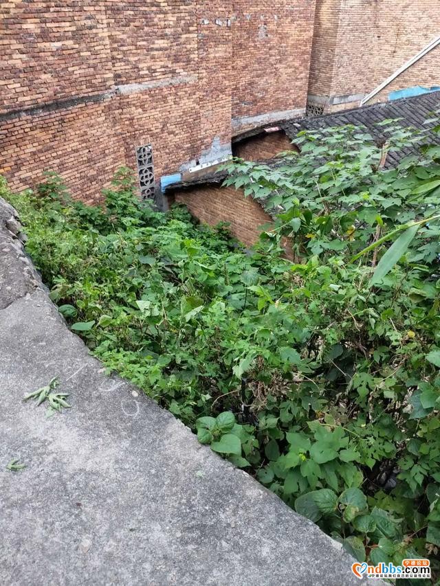 创城进行时15 | 扮靓城市“里子”，背街小巷再整治-16.jpg