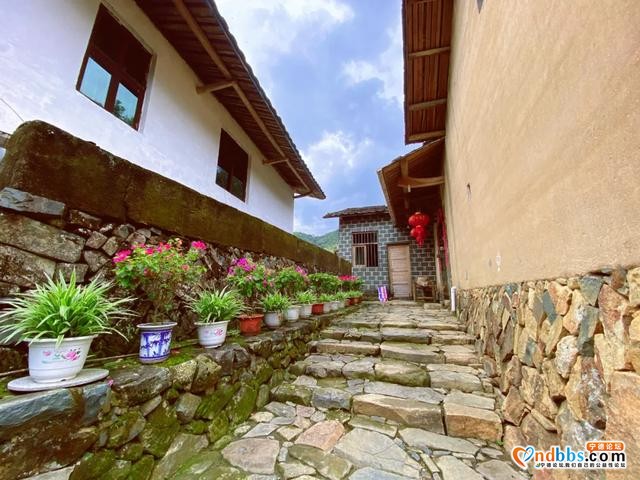 为蕉城谋幸福！区领导调研G237国道和周边环境整治情况-9.jpg