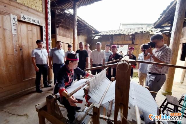 为蕉城谋幸福！区领导调研G237国道和周边环境整治情况-5.jpg