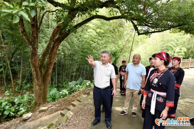 为蕉城谋幸福！区领导调研G237国道和周边环境整治情况-7.jpg