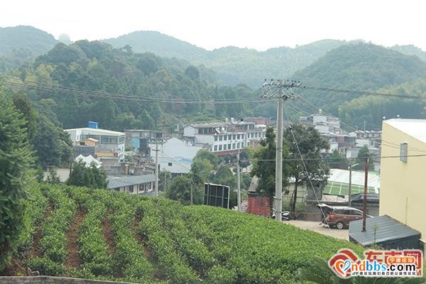 宁德核电“开展村企合作助力脱贫攻坚”主题采访活动-4.jpg
