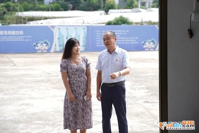 福安松罗晚熟葡萄节直播活动玩了什么？一起来看-4.jpg