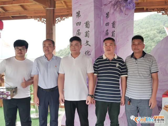 福安松罗晚熟葡萄节直播活动玩了什么？一起来看-13.jpg