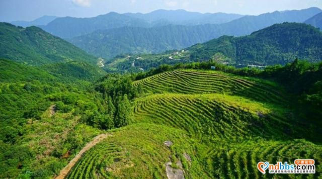 「宁德绿盈乡村」周宁县七步镇苏家山村——云端周宁，“醉美”苏家山-2.jpg