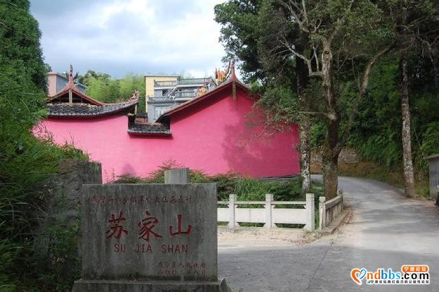 「宁德绿盈乡村」周宁县七步镇苏家山村——云端周宁，“醉美”苏家山-1.jpg