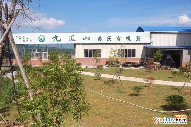 「宁德绿盈乡村」周宁县七步镇苏家山村——云端周宁，“醉美”苏家山-3.jpg