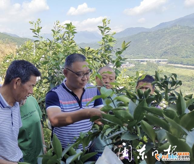 科技型中小企业数量增长三倍！宁德迈向创新型城市-2.jpg