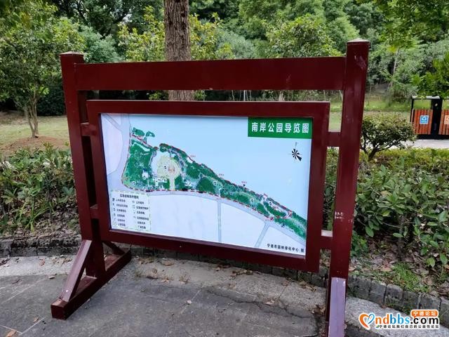 “添添补补”，扮靓公园“颜值”-3.jpg