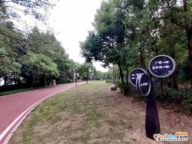 “添添补补”，扮靓公园“颜值”-13.jpg