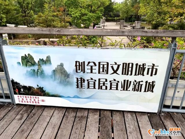 “添添补补”，扮靓公园“颜值”-27.jpg