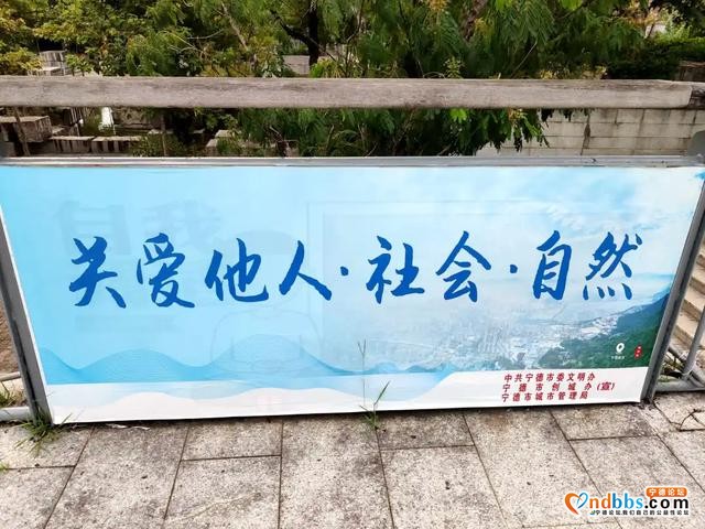 “添添补补”，扮靓公园“颜值”-25.jpg