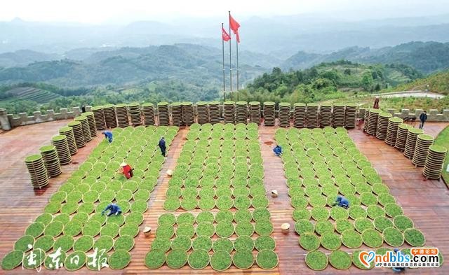 不容易，这项数据增幅全省第一！宁德做了这些努力→-5.jpg