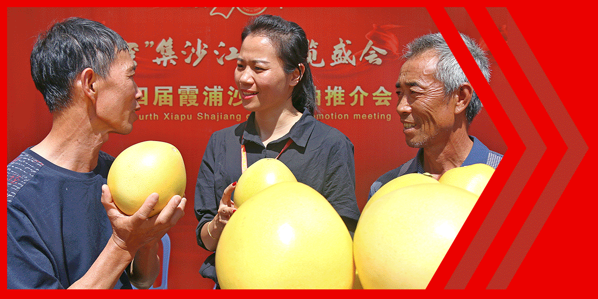 全方位推动高质量发展超越 宁德这样干！-6.jpg