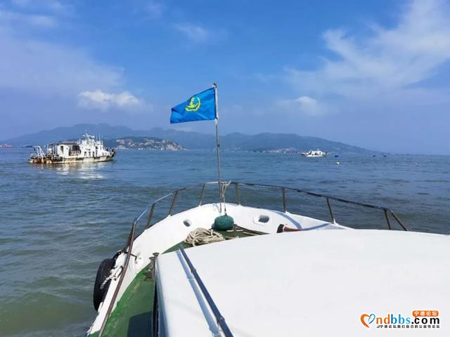 海上亮剑∣宁德海事局联合多部门开展三都澳军事航道、水鼓设施周边违规设置养殖物清理专项行动-1.jpg