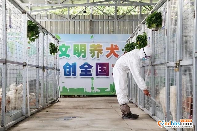 宁德新闻红榜丨创城的美好，可不就在我们生活的点点滴滴中吗？-9.jpg