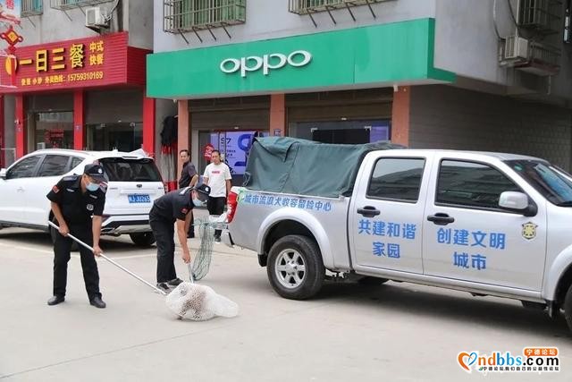 宁德新闻红榜丨创城的美好，可不就在我们生活的点点滴滴中吗？-10.jpg