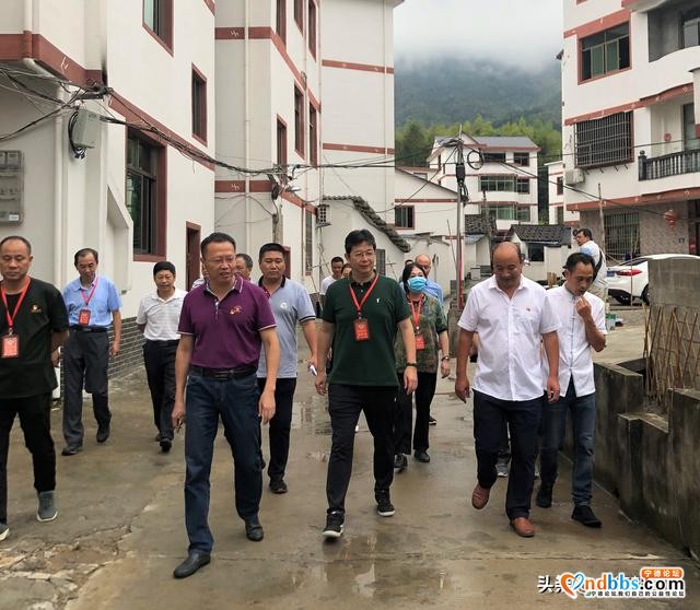 宁德市政协开展“两高沿线”人居环境综合整治专题视察-3.jpg