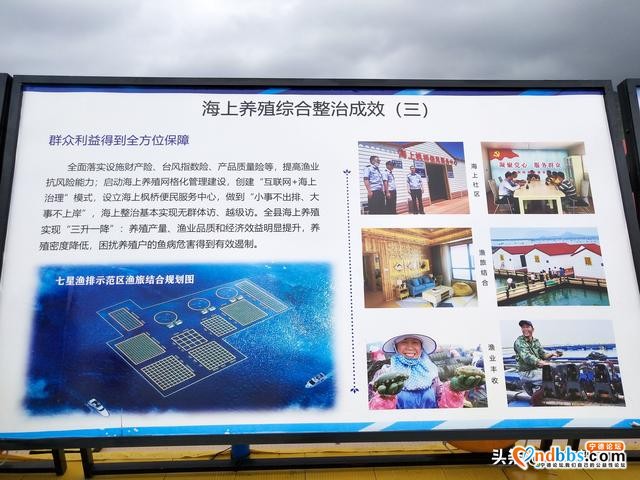 宁德市政协副主席刘登健赴霞浦调研海上养殖标准化建设-3.jpg