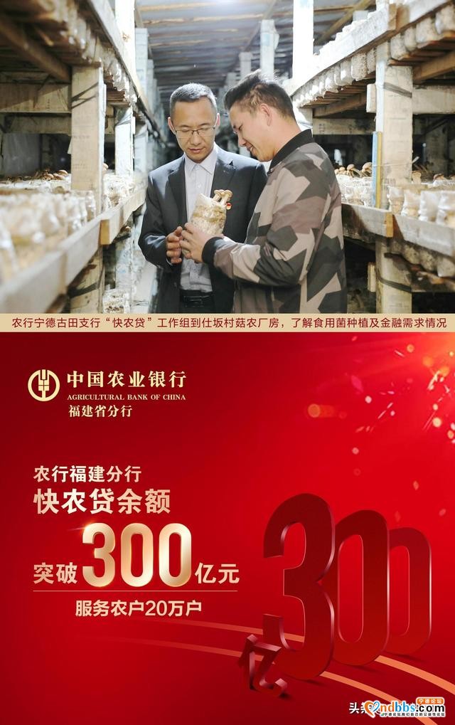农行宁德分行：金融活水精准滴灌特色产业发展-4.jpg
