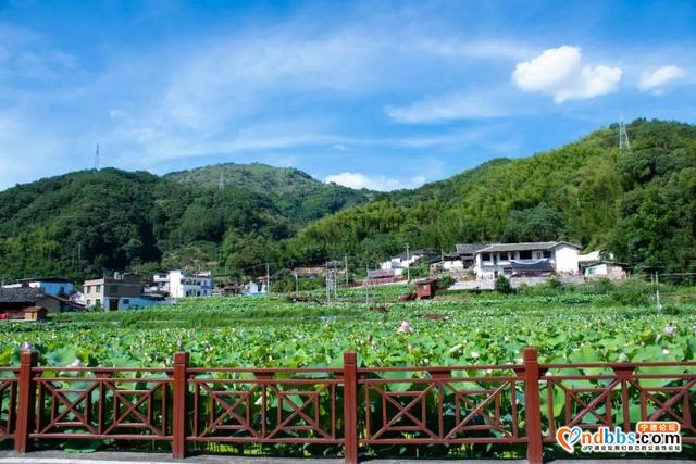 宁德之旅 | 霞浦7天自驾游全攻略（二）-29.jpg