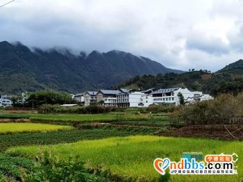 宁德赤溪村：奔向小康的“中国扶贫第一村”「组图」-2.jpg