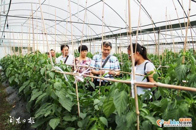 如何吸引人才、留住人才、激励人才？宁德做了这些事……-5.jpg